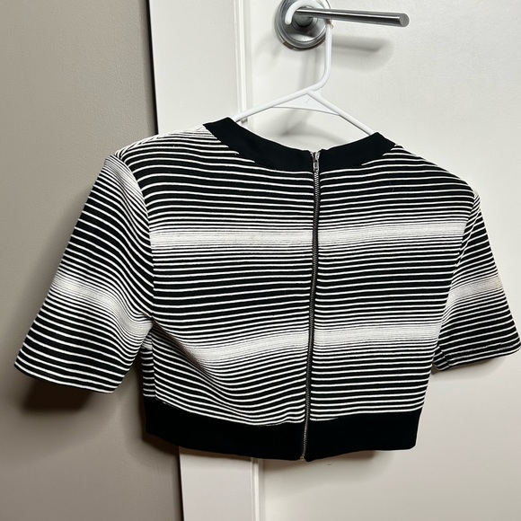 Chic Crop Top with Zipper Detail - Picture 3 of 3